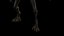 DARK ENTITY