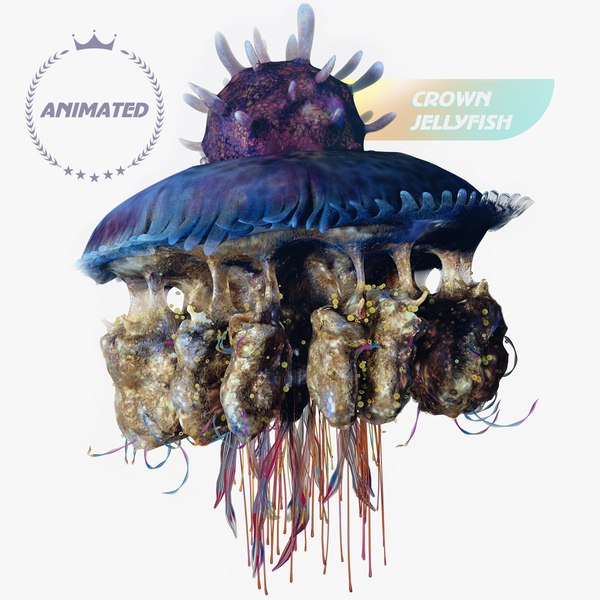 Jellyfish 3D Models for Download TurboSquid