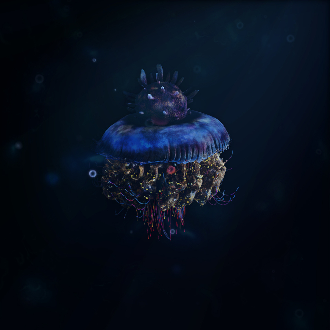 Jellyfish Crown Animated 3D Model - TurboSquid 1750817