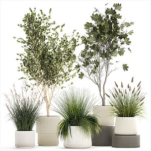 3D Beautiful bushes trees and grass in a flower pot for decoration 1286