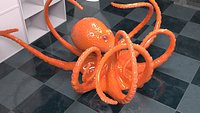 OCTOPUS CAT RIGG