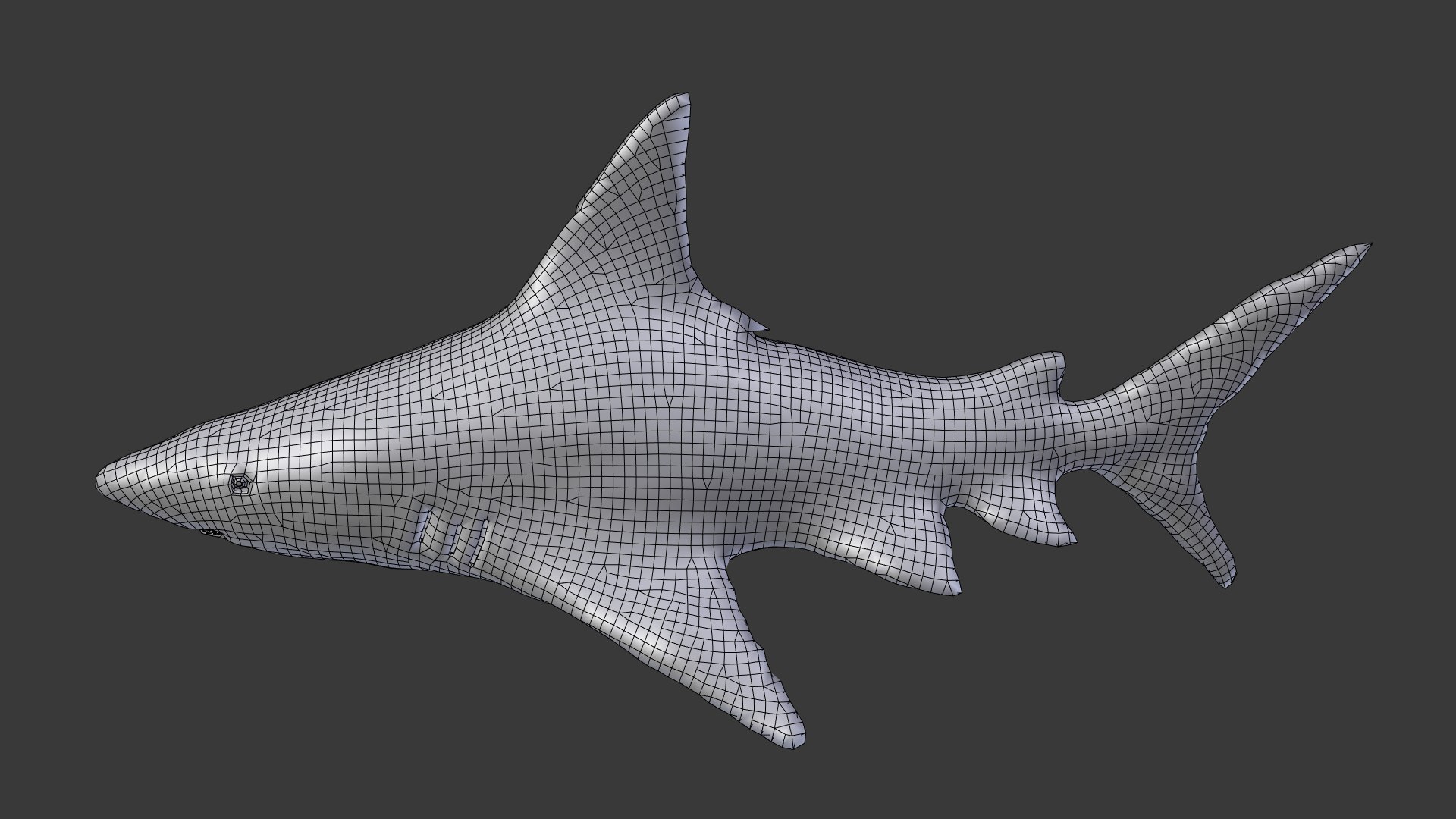 Shark Animation Model - TurboSquid 1401524
