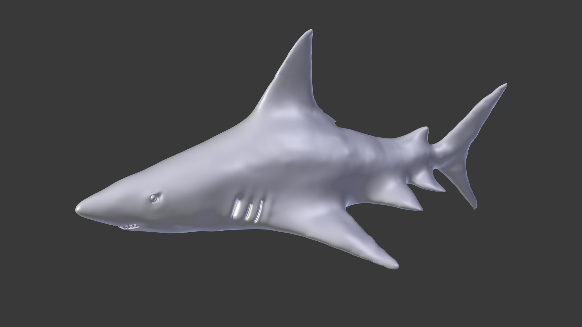 Shark Animation Model - TurboSquid 1401524