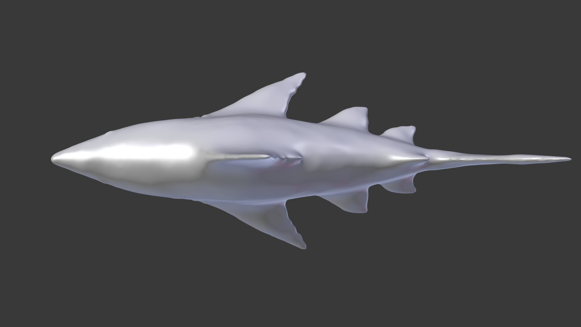 Shark Animation Model - TurboSquid 1401524