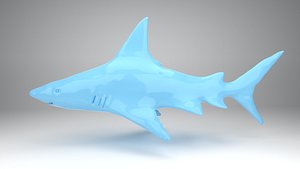 Shark 3D model for fish tank or use for animation