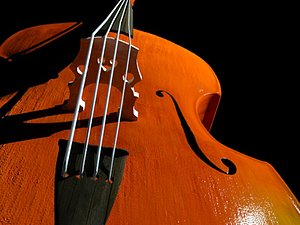 3d double bass