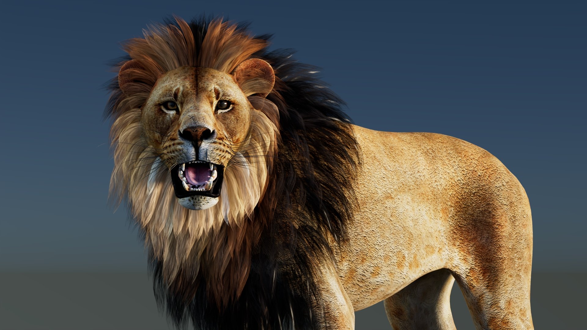 3D model Rigged Lion 3D Model https://p.turbosquid.com/ts-thumb/AR/qVudjJ/JL/riggedlion3dmodelgamereadypbr12/jpg/1785699104/1920x1080/fit_q87/dfa1bf83c675b7c2c96fab2e909c874b8ee43344/riggedlion3dmodelgamereadypbr12.jpg