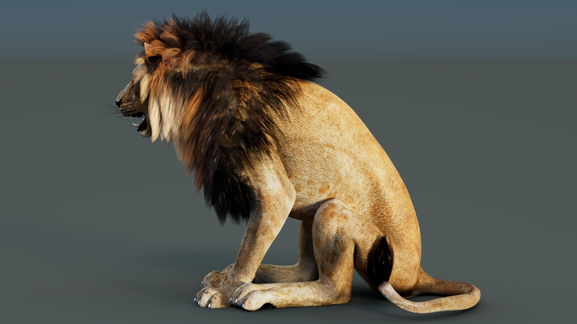 3D model Rigged Lion 3D Model https://p.turbosquid.com/ts-thumb/AR/qVudjJ/Mt/riggedlion3dmodelgamereadypbr08/jpg/1785699102/1920x1080/fit_q87/b39686bc2e6f9911b95af8f32e76e176547256a8/riggedlion3dmodelgamereadypbr08.jpg