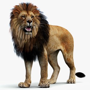 3D model Rigged Lion 3D Model