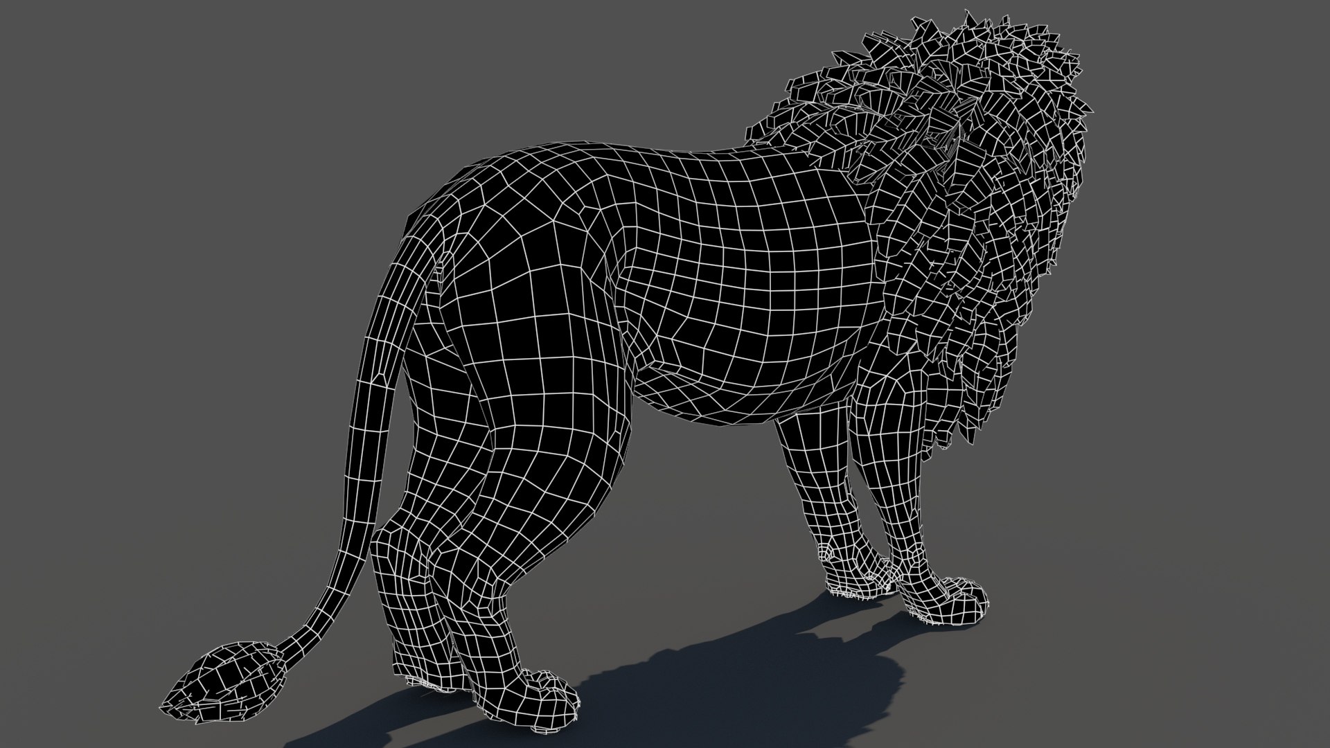3D model Rigged Lion 3D Model https://p.turbosquid.com/ts-thumb/AR/qVudjJ/d4/lionwireframe04/jpg/1785699289/1920x1080/fit_q87/21dce54bd958801b8499e260928755fc2f2c3e1f/lionwireframe04.jpg