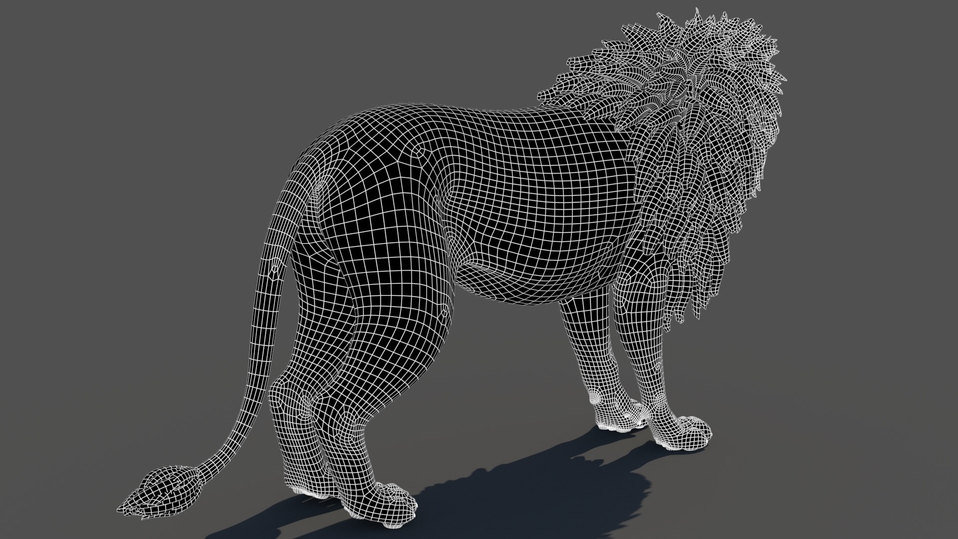 3D model Rigged Lion 3D Model https://p.turbosquid.com/ts-thumb/AR/qVudjJ/hC/lionwireframe05/jpg/1785699290/1920x1080/fit_q87/c4f7f6eb5cf557aa2e1c2bc75e1eed5b965c333b/lionwireframe05.jpg