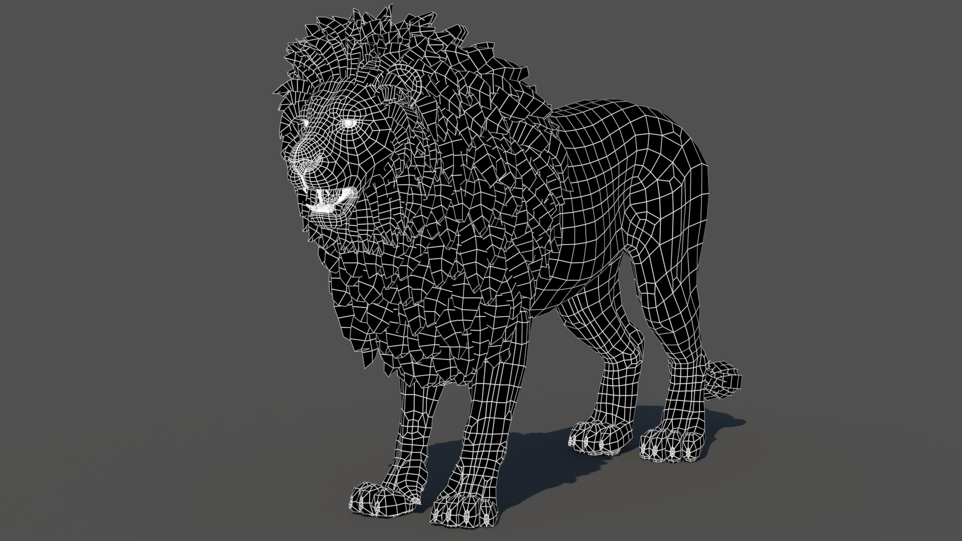 3D model Rigged Lion 3D Model https://p.turbosquid.com/ts-thumb/AR/qVudjJ/jp/lionwireframe01/jpg/1785699288/1920x1080/fit_q87/72df628ae05651b7c9f159a663c13754eb60740d/lionwireframe01.jpg