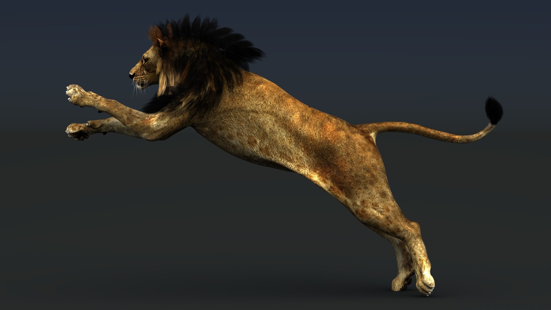 3D model Rigged Lion 3D Model https://p.turbosquid.com/ts-thumb/AR/qVudjJ/uW/riggedlion3dmodelgamereadypbr03/jpg/1785753189/1920x1080/fit_q87/91a67744ac2d2119c42a7e0eb2eb2cd8fae5833c/riggedlion3dmodelgamereadypbr03.jpg