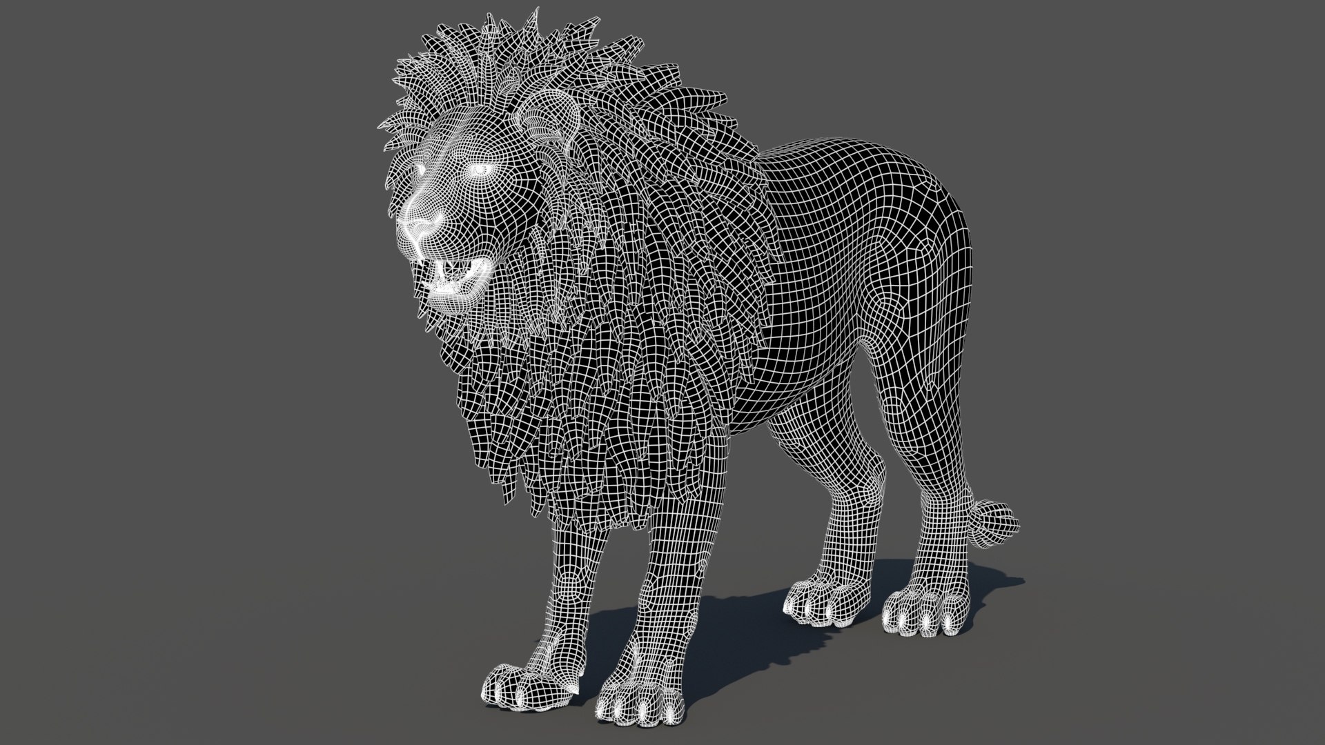 3D model Rigged Lion 3D Model https://p.turbosquid.com/ts-thumb/AR/qVudjJ/wW/lionwireframe02/jpg/1785699288/1920x1080/fit_q87/51b9217b38b198435648afd91ef19e2ed63c030b/lionwireframe02.jpg