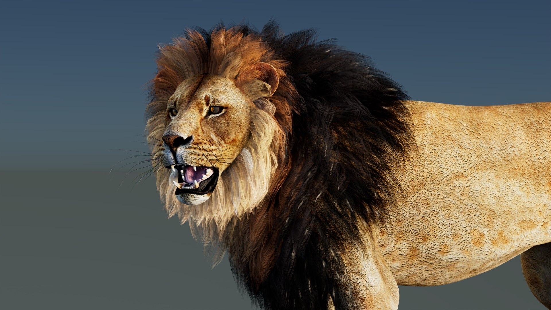 3D model Rigged Lion 3D Model https://p.turbosquid.com/ts-thumb/AR/qVudjJ/ye/riggedlion3dmodelgamereadypbr14/jpg/1785699105/1920x1080/fit_q87/c4391ca5d35cececb348966a8a33b8e1fb89e53d/riggedlion3dmodelgamereadypbr14.jpg