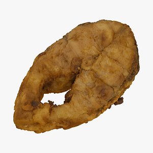 Fried Carp Fillet 01 RAW SCAN
