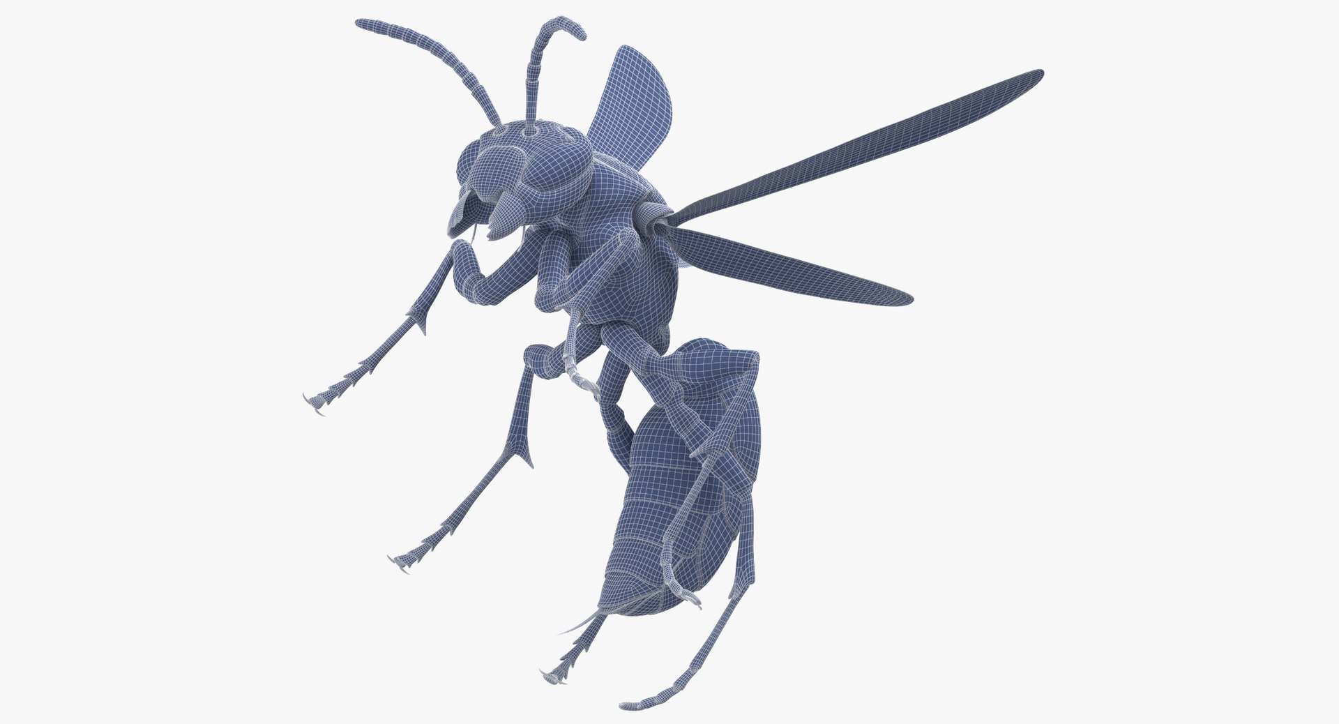 3D paper wasp stinging model https://p.turbosquid.com/ts-thumb/AS/AYESrg/cKgIFtFD/paper_wasp_stinging_wireframe_01_0006/jpg/1547625837/1920x1080/fit_q87/cfa0def0c8145b4bc709d758195157700215b7b3/paper_wasp_stinging_wireframe_01_0006.jpg