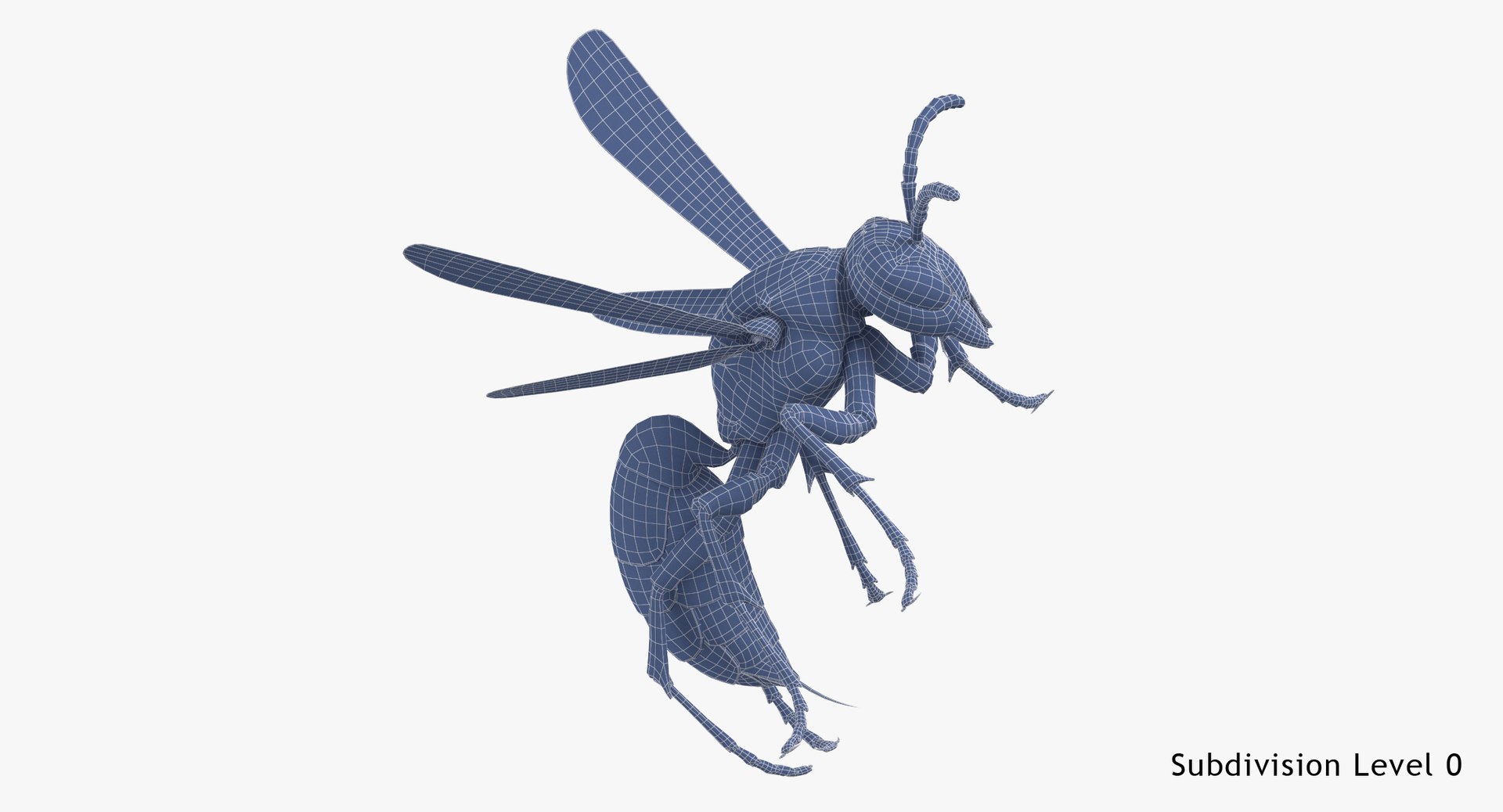 3D paper wasp stinging model https://p.turbosquid.com/ts-thumb/AS/AYESrg/i0a8tRVg/paper_wasp_stinging_wireframe_subdiv_0/jpg/1547625837/1920x1080/fit_q87/d8314133b9a39120138566bba28dc635ffd9373c/paper_wasp_stinging_wireframe_subdiv_0.jpg