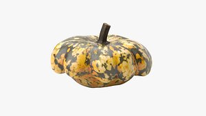 3D model Pumpkin