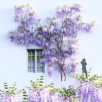 Jess Glynne - Wisteria 07