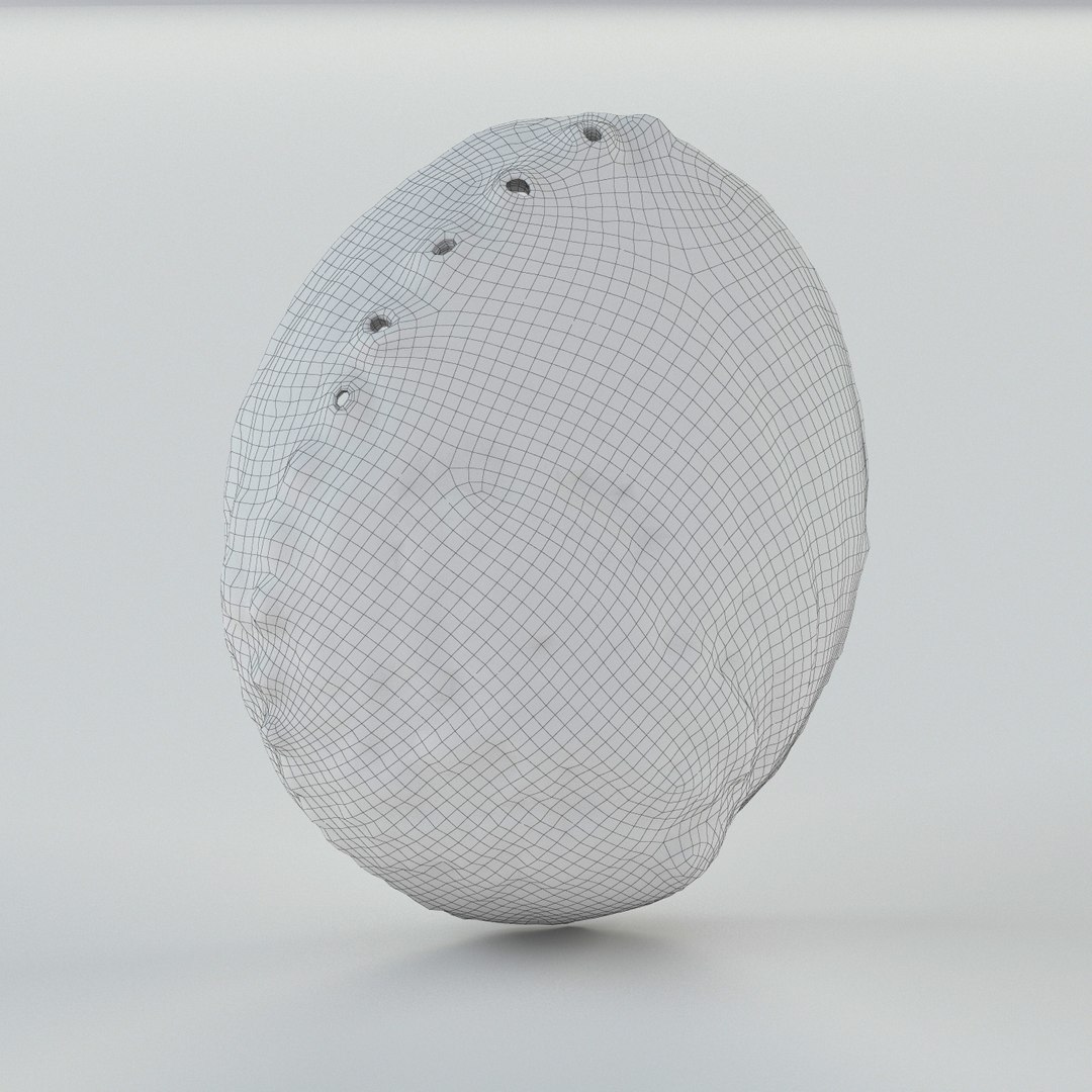 3ds max seashell ocean https://p.turbosquid.com/ts-thumb/AS/TFAZDa/5o57TiIJ/shell4/jpg/1419764245/1920x1080/fit_q87/84914be8cd5c2093d83514bc8ee2e581fa3e2bff/shell4.jpg