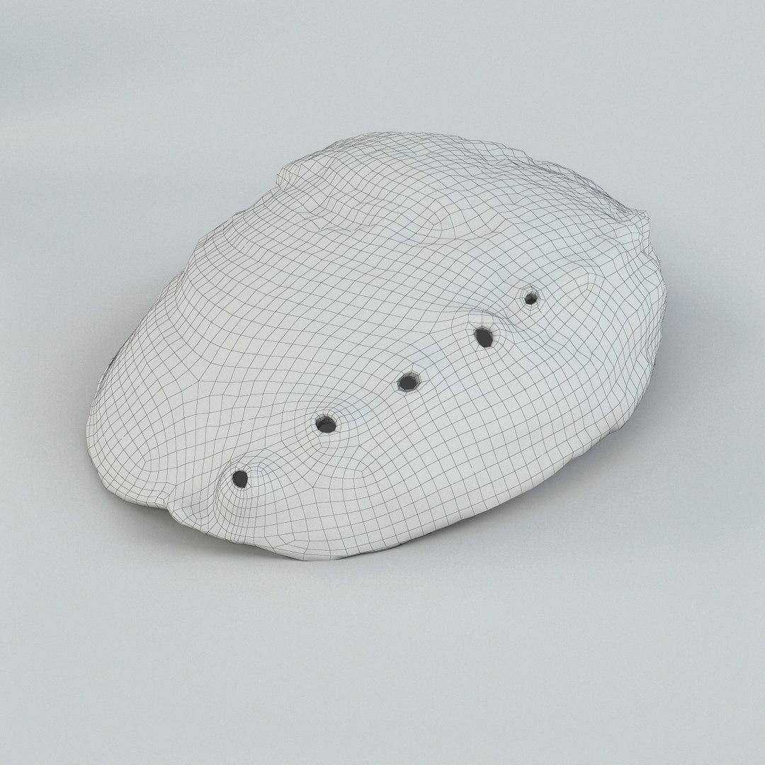 3ds Max Seashell Ocean