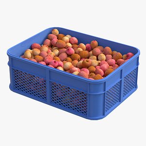 Lychee Fruit Plastic Crate 3D model
