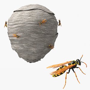 Active Wasp Nest with Visible Insects Gray 3D
