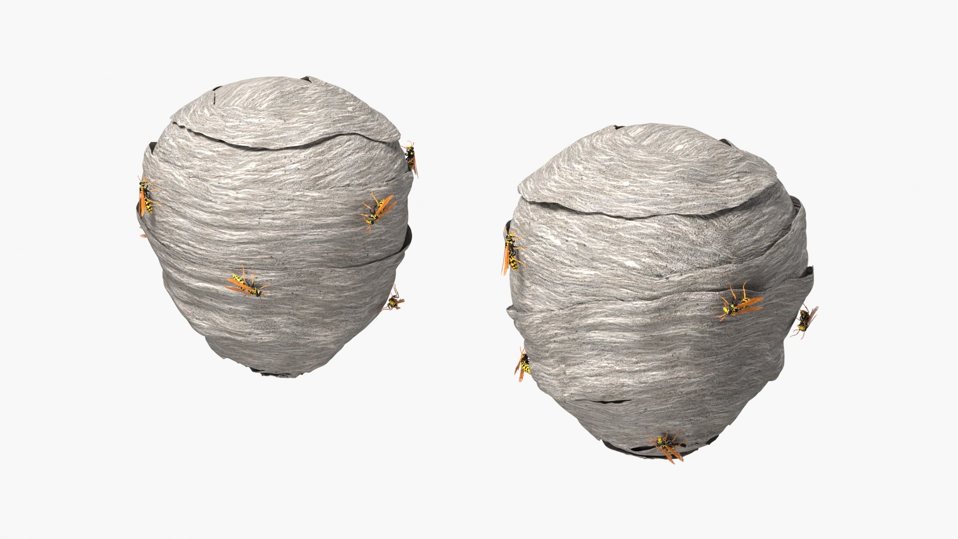 Active Wasp Nest with Visible Insects Gray 3D model preview