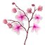 Orchidea 3