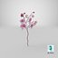 Orchidea 3