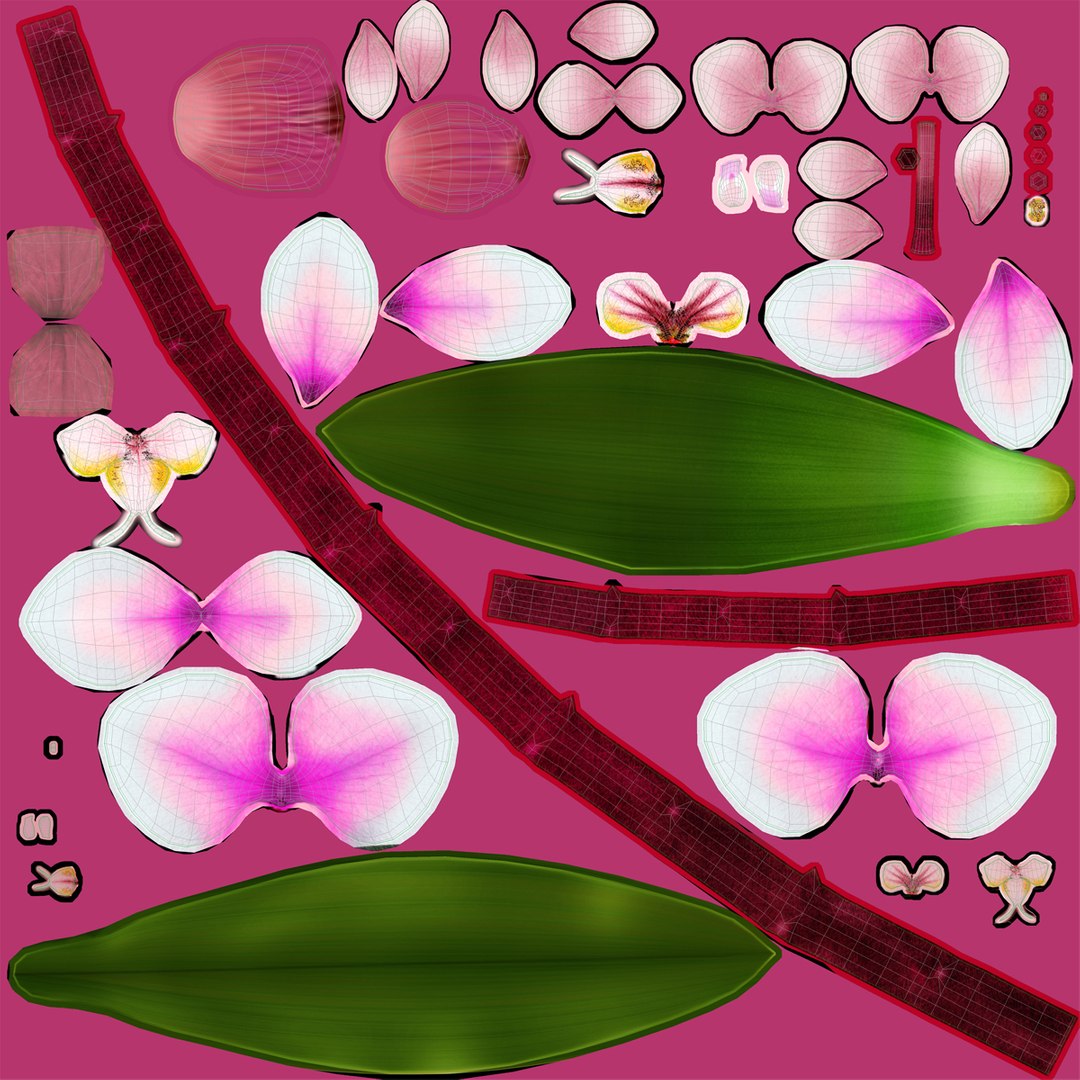 orchid 3 3d model https://p.turbosquid.com/ts-thumb/AS/dTdiw3/MYWrSNbn/orchid_3_flower_3d_model_16/jpg/1424104510/1920x1080/fit_q87/4b2cdefe023b025dc084d36b7f2fc82f25708327/orchid_3_flower_3d_model_16.jpg