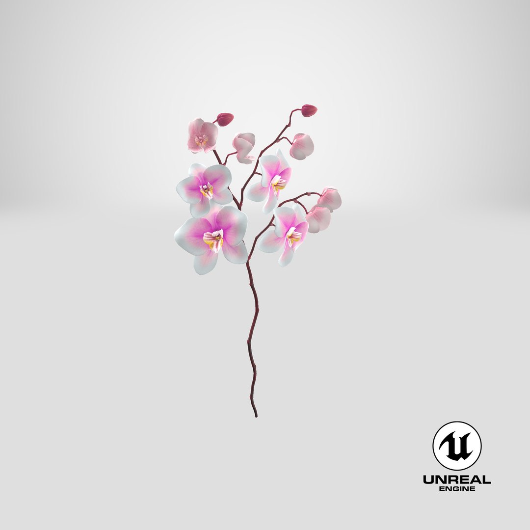 orchid 3 3d model https://p.turbosquid.com/ts-thumb/AS/dTdiw3/TM/stemcell_unreal_render/png/1663850671/1920x1080/fit_q87/1e07e0006a9235484e94b107f14c195798734ea4/stemcell_unreal_render.jpg