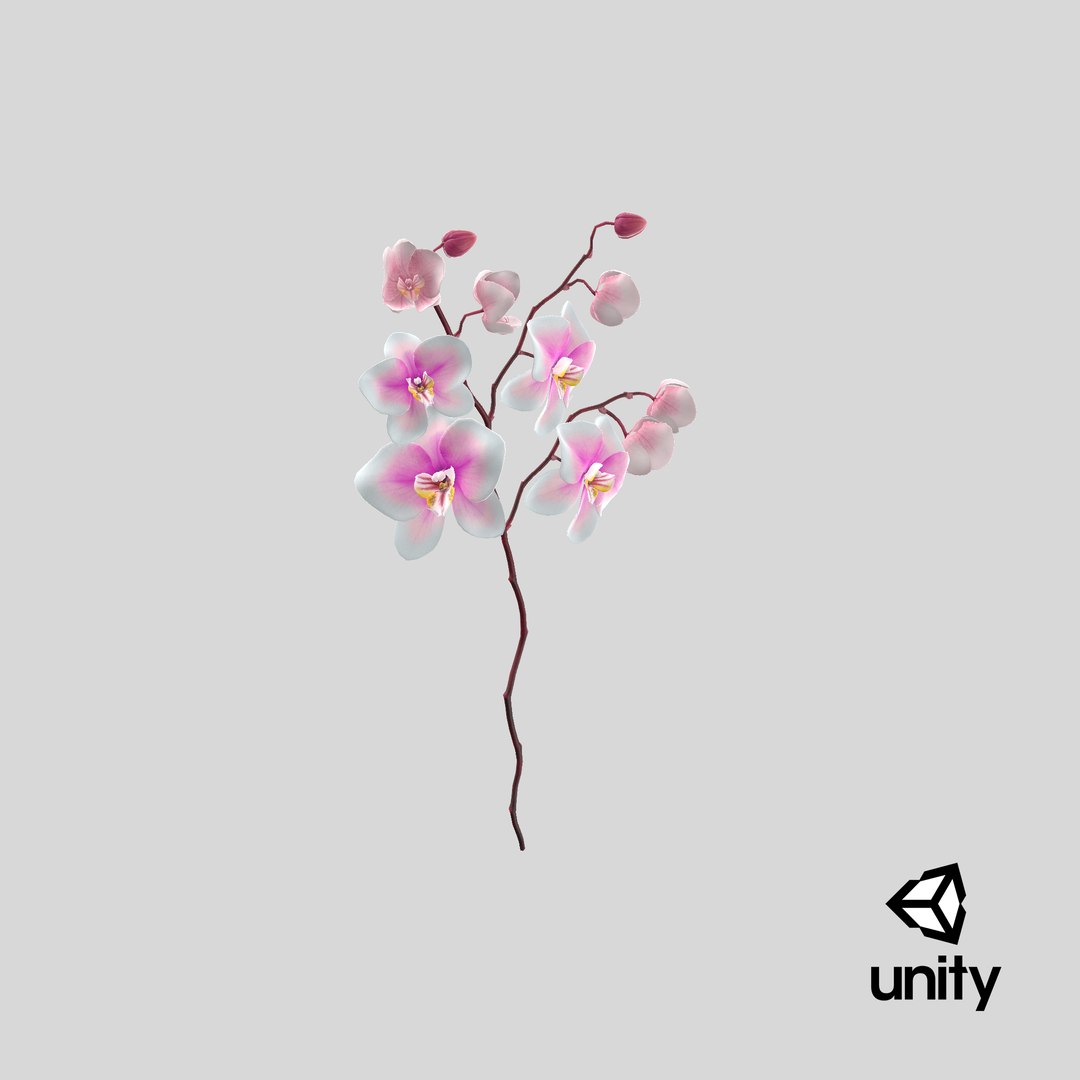orchid 3 3d model https://p.turbosquid.com/ts-thumb/AS/dTdiw3/hB/stemcell_unity_render/png/1663850670/1920x1080/fit_q87/f90e450ba3523e540a2bf05c0fcc13626a9fe4ac/stemcell_unity_render.jpg
