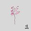 Orchidea 3