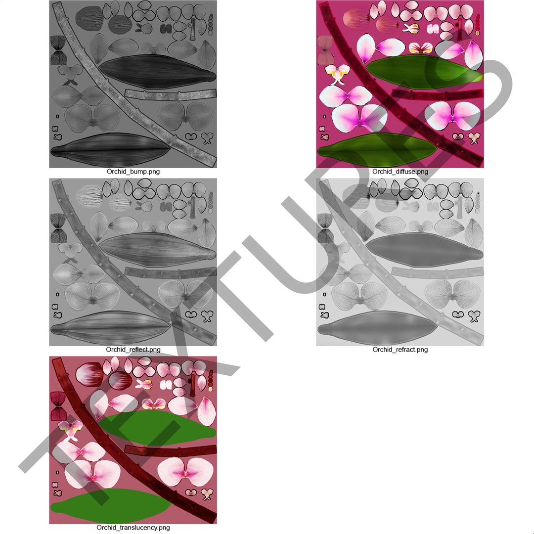 orchid 3 3d model https://p.turbosquid.com/ts-thumb/AS/dTdiw3/s01nIr4c/orchid_3_flower_3d_model_17/jpg/1424104510/1920x1080/fit_q87/18540f788d9af4e756e720a6670abbf08bec8ce8/orchid_3_flower_3d_model_17.jpg