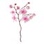Orchidea 3