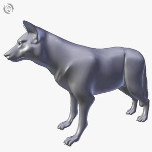 wolf 3D model
