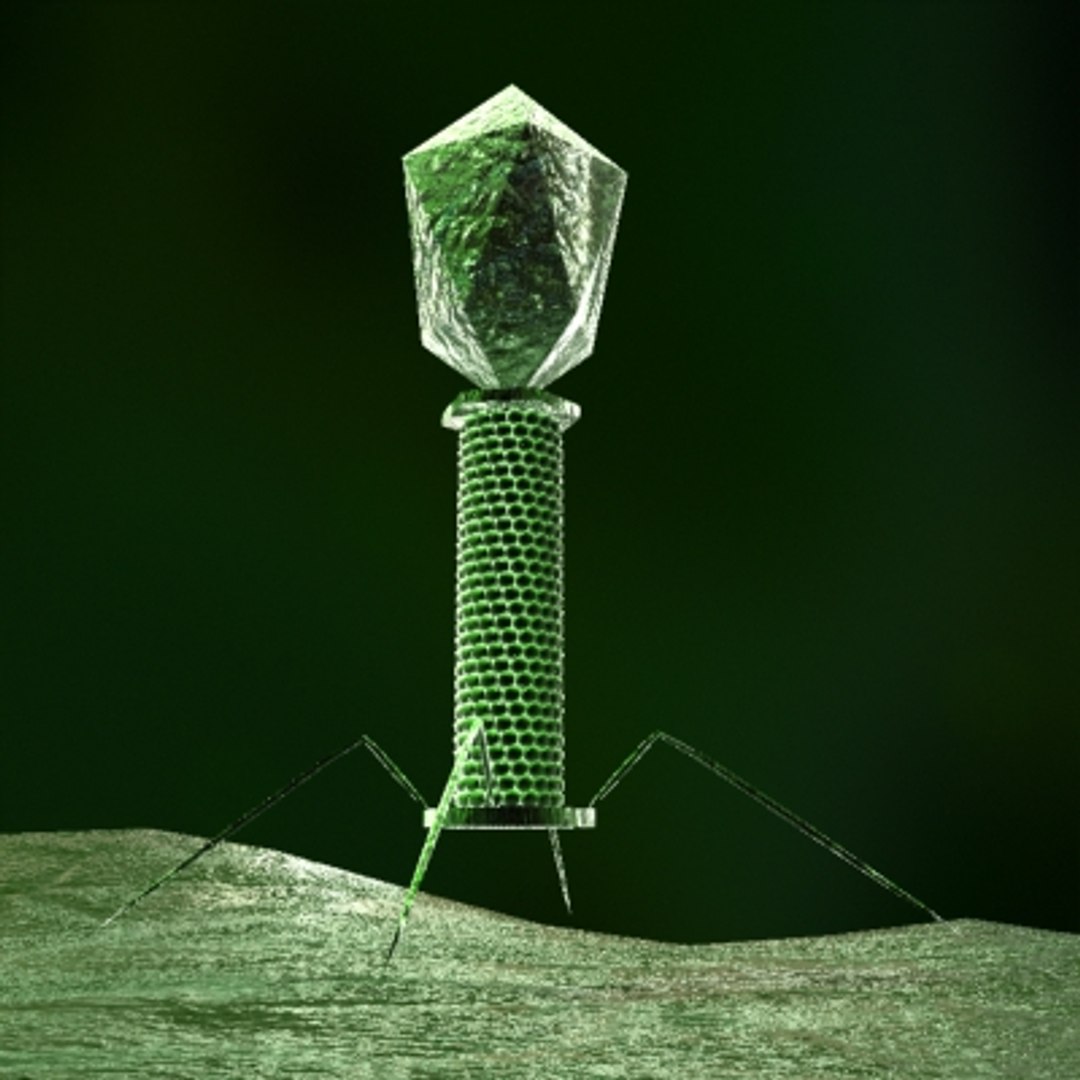 3d Max Micro Cells