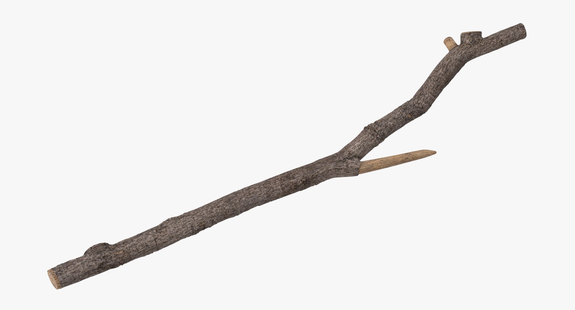 1,624,843 Twig Images, Stock Photos, 3D objects, & Vectors