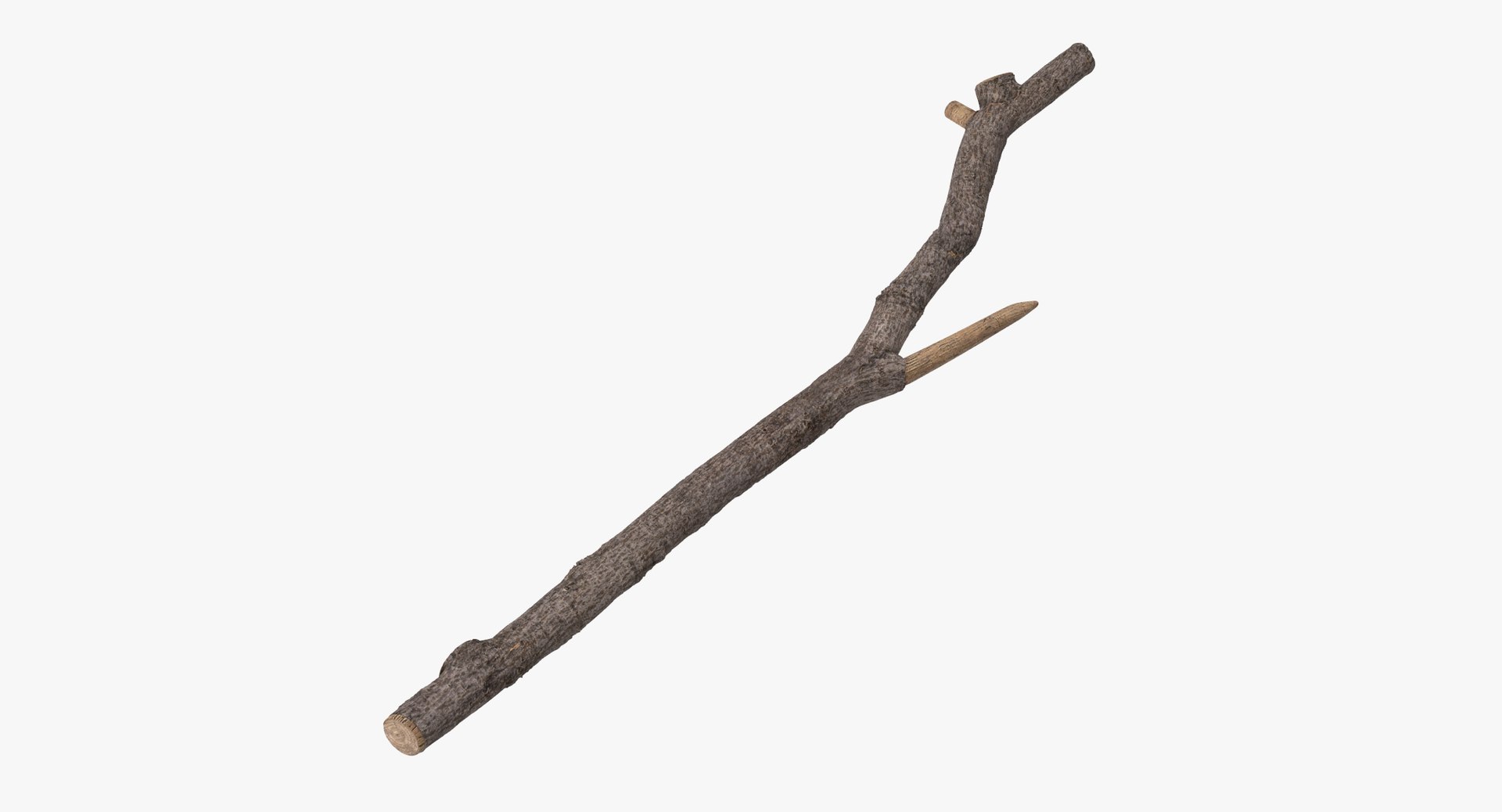 Twig 01 3d Model
