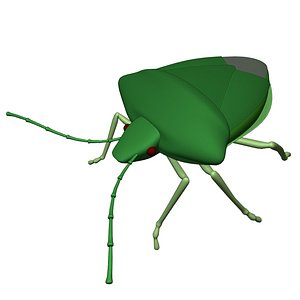 Stinkbug