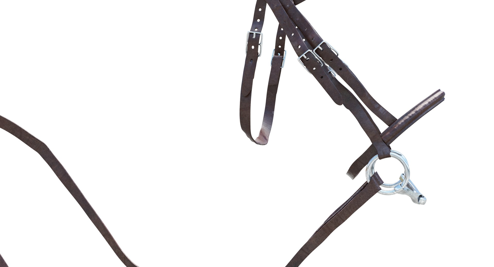 3d horse bridle https://p.turbosquid.com/ts-thumb/AT/1nn1QT/7KbIp9NY/8/jpg/1480887849/1920x1080/fit_q87/24f2f2db42d88a9da863e4f641c522b9c4f44cb7/8.jpg