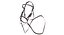 Horse Bridle