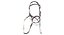 Horse Bridle