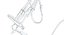 Horse Bridle