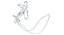 Horse Bridle