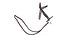 Horse Bridle