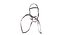 Horse Bridle