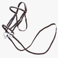 Horse Bridle